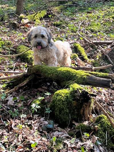 Foto Challenge Nr. 79-Beitrag-Bild