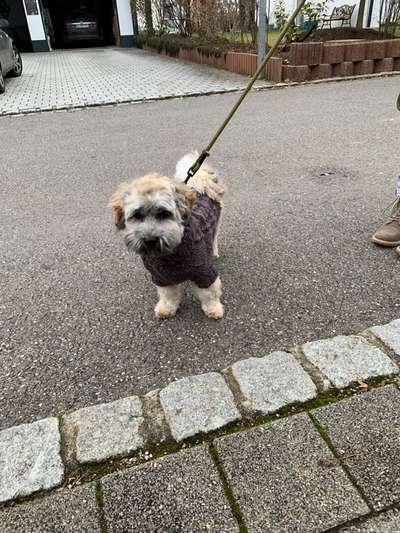 Süße Winteroutfits 😍-Beitrag-Bild