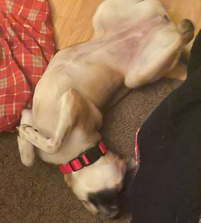 Fotochallenge Nr.65-Beitrag-Bild