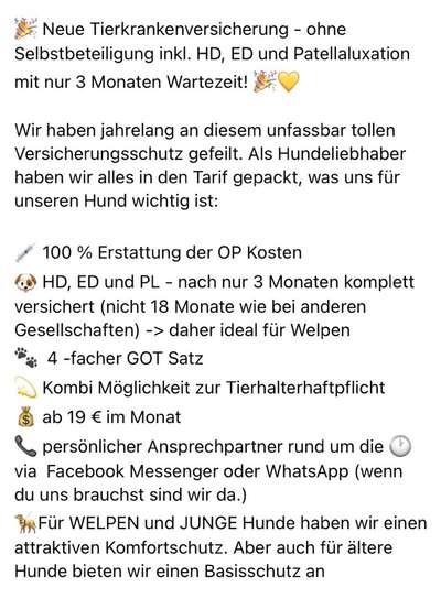 Die Beste Versicherung ( Op Versicherung/Tierarztversicherung)-Beitrag-Bild