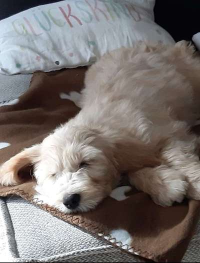 Erstes Bild-Beitrag-Bild