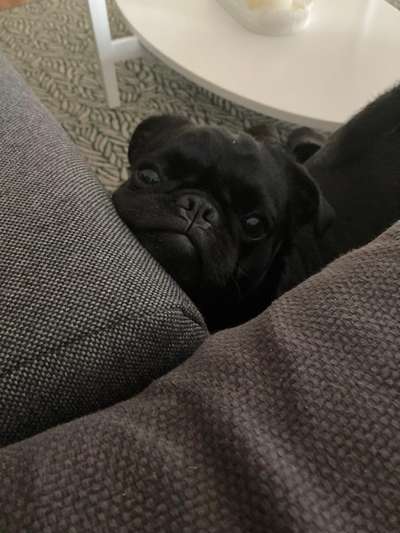 Lieblingsbild :D-Beitrag-Bild