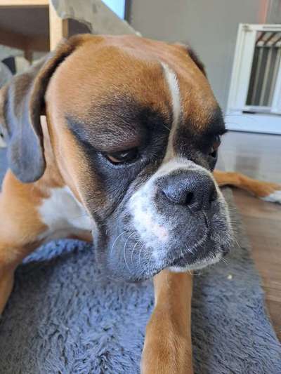 Geschwollenes Auge und Kopfbereich-Beitrag-Bild