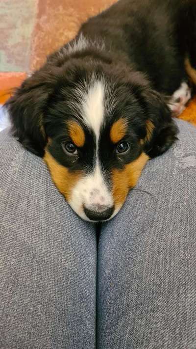 150. Foto Challaenge:  Die Augen, der Spiegel der Seele-Beitrag-Bild