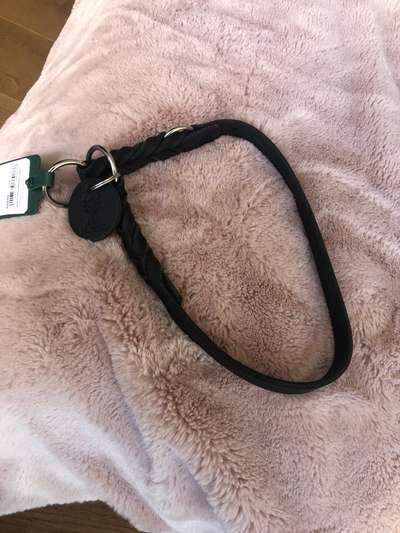 Eurasier hier?-Beitrag-Bild