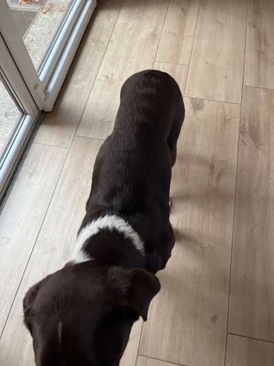 Der Gewichts-Thread-Beitrag-Bild