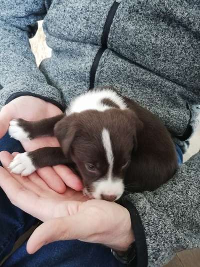 Erstes Bild-Beitrag-Bild