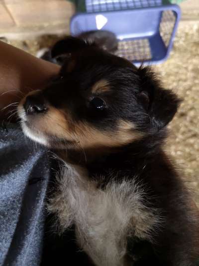 Erstes Bild-Beitrag-Bild