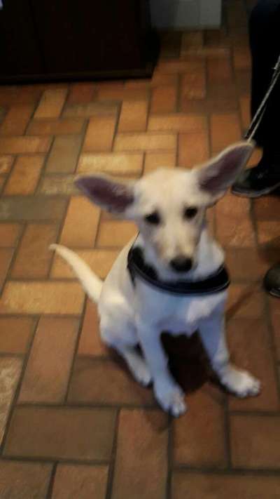 Außergewöhnliche Merkmale-Beitrag-Bild