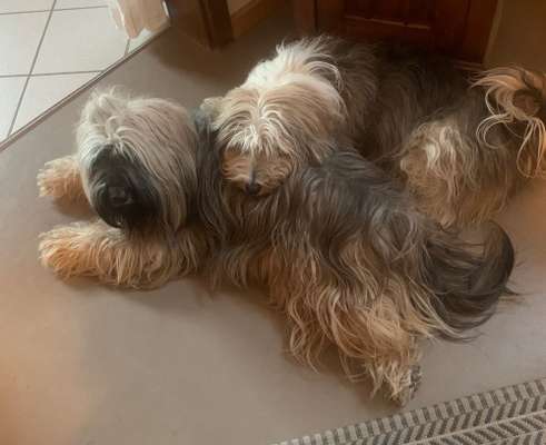 Ein, zwei oder viele!-Beitrag-Bild