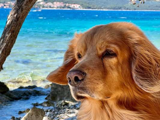 Zeigt eure Portraits-Beitrag-Bild