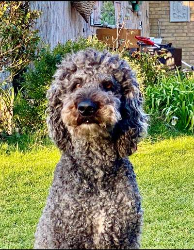 Zeigt eure Portraits-Beitrag-Bild