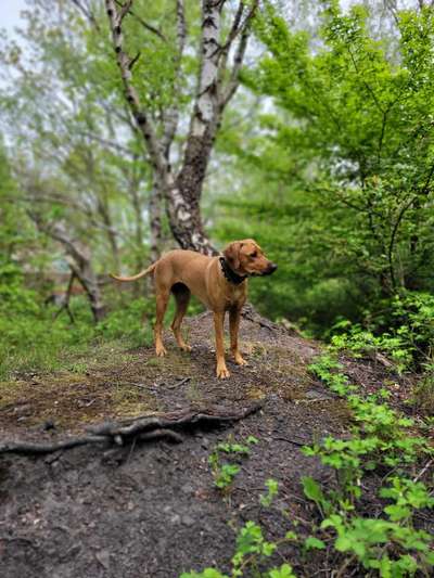 Foto Challenge Nr. 79-Beitrag-Bild