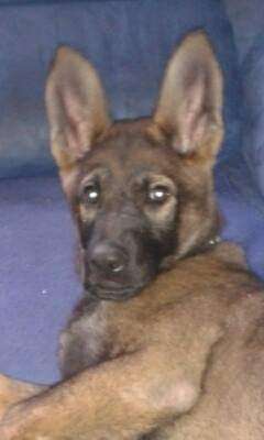 Vorher.... Nachher-Beitrag-Bild