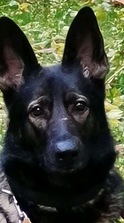 Vorher.... Nachher-Beitrag-Bild