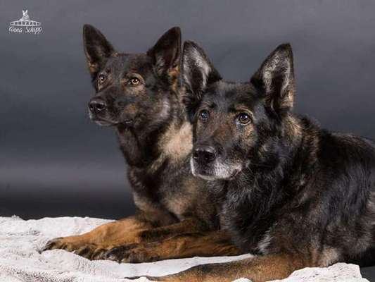 Fotochallenge Nr. 56 - geliebte Senioren-Beitrag-Bild