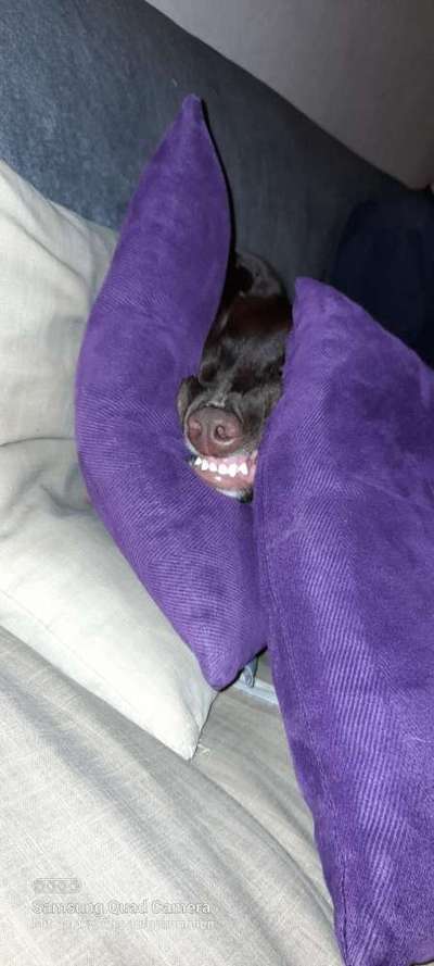 Die unbequemsten und lustigsten Schlafpositionen-Beitrag-Bild