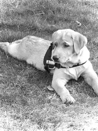 Foto-Challenge 76: Foto in Schwarz-Weiss-Beitrag-Bild