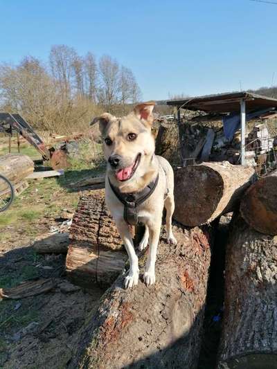 Liefernotstand bei Libromide-Beitrag-Bild