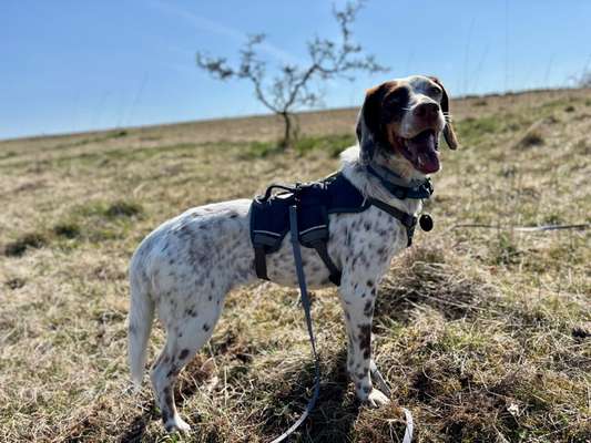 Pointer-Beitrag-Bild