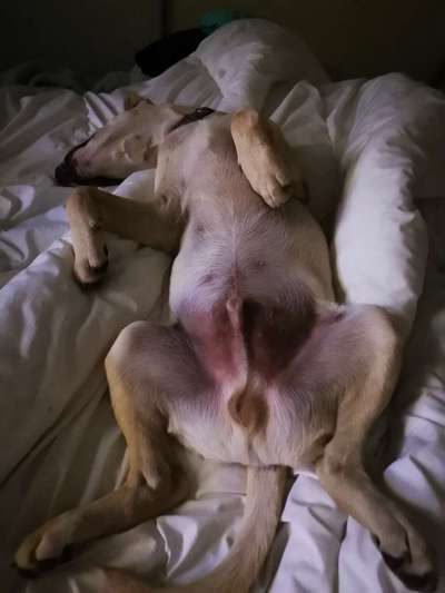 CHALLENGE NR. 34 - Liege-/Schlafpositionen-Beitrag-Bild