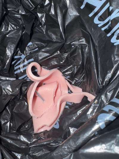 Giftköder-Giftköder-Bild