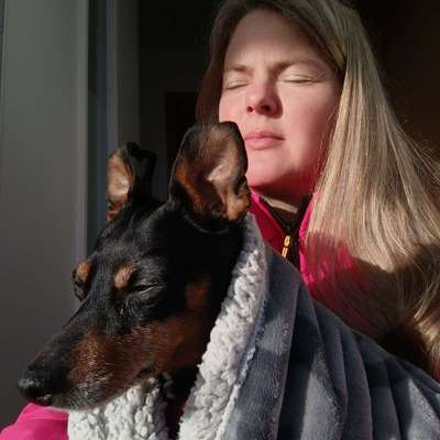 Hundetreffen-Suche Begleiter damit meine mausi mehr sozialen Kontakt hat-Bild