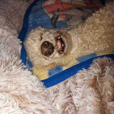 Die unbequemsten und lustigsten Schlafpositionen-Beitrag-Bild