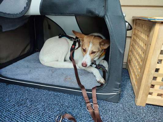 Was hat euch heute gefreut?-Beitrag-Bild