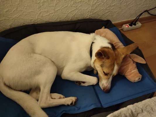 Was hat euch heute gefreut?-Beitrag-Bild