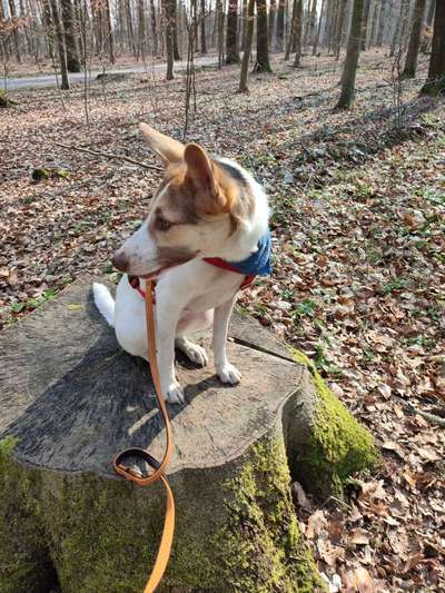 27. Handy Fotochallenge-Beitrag-Bild