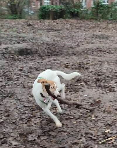 Fotochallenge Nr. 64-Beitrag-Bild