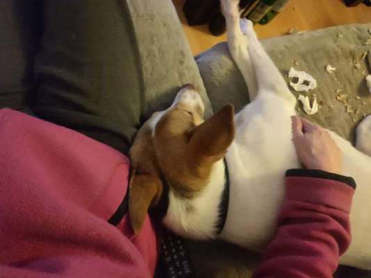 Was hat euch heute gefreut?-Beitrag-Bild