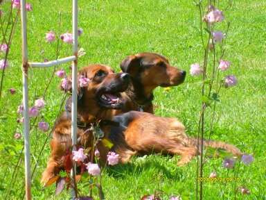 Fotochallenge Nr. 62 Romantische Momente-Beitrag-Bild