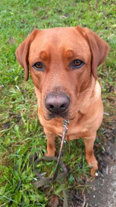 Blick fürs Detail!-Beitrag-Bild