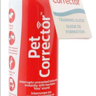 Hund von fremdem Hund angefallen-Beitrag-Bild