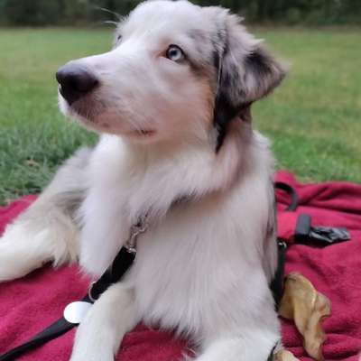 Zeigt eure Portraits-Beitrag-Bild