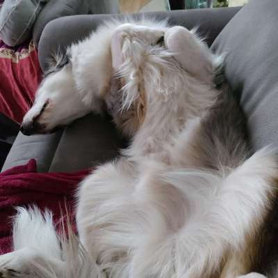 Foto Challenge Nr. 134-Beitrag-Bild