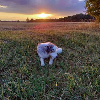 Farben Fotochallenge Sonnenlicht-Beitrag-Bild