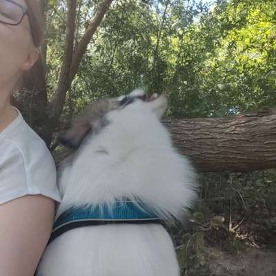 20. Handy -Foto-Callenge-Beitrag-Bild