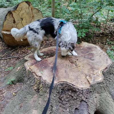 27. Handy Fotochallenge-Beitrag-Bild