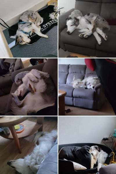 42. Collage Challenge - Ruheplatz-Beitrag-Bild