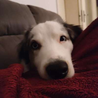 147. Foto Challenge: Bettelblick-Beitrag-Bild