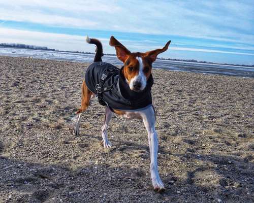 Fotochallenge Nr. 67: Euer Lieblingsbild-Beitrag-Bild