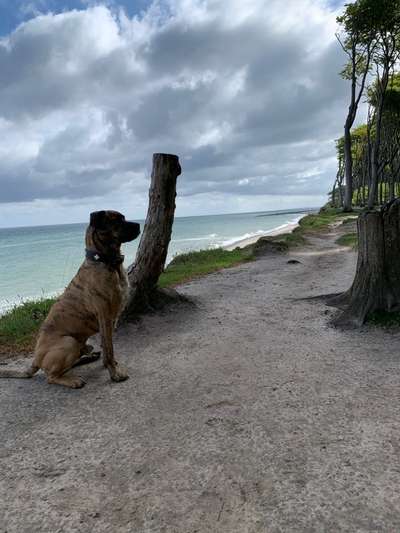 42.Fotochallenge - Eure schönen Momente beim Spaziergang-Beitrag-Bild