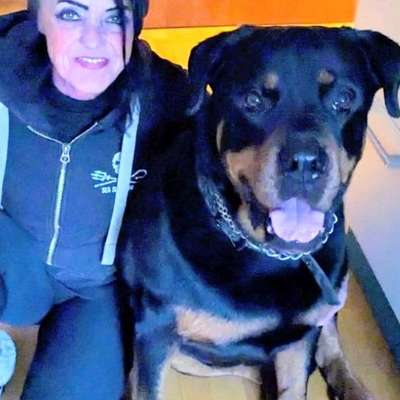 Hundetreffen-Mein Hund Cäsar und ich würden uns über entspannte gemeinsame Runden freuen. Wer hat Lust?-Bild