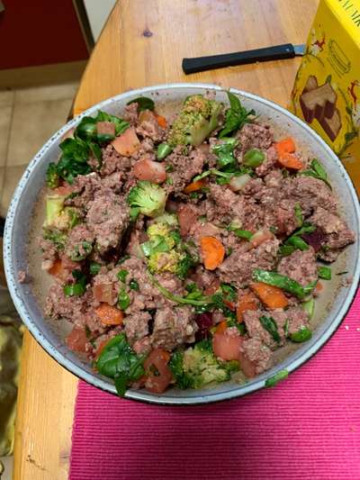 Zeigt her Eure Futternäpfe-Beitrag-Bild