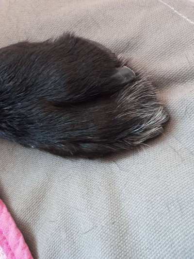 Blick fürs Detail!-Beitrag-Bild