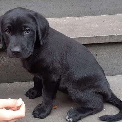 Blick fürs Detail!-Beitrag-Bild