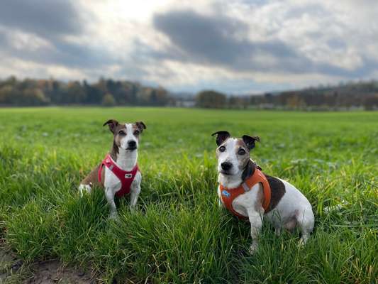 118. Fotochallange-Beitrag-Bild